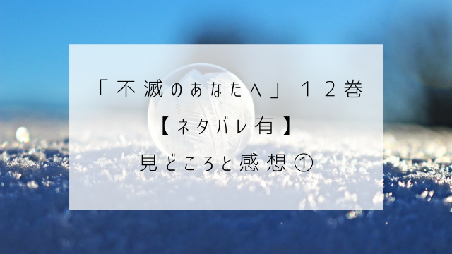 不滅のあなたへ　１２巻　ネタバレ　見どころ　感想　球