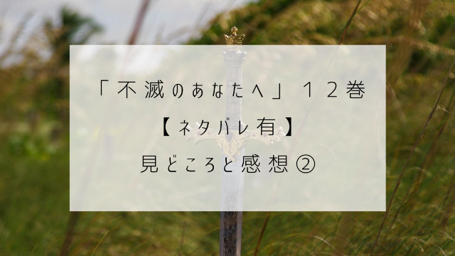 不滅のあなたへ　１２巻　ネタバレ　見どころ　感想　剣