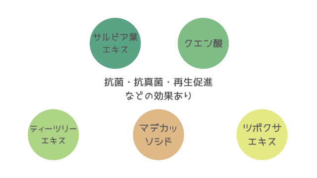 メディヒールアンプルの緑の主成分